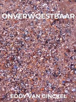Onverwoestbaar -  Eddy van Ginckel (ISBN: 9789465380025)
