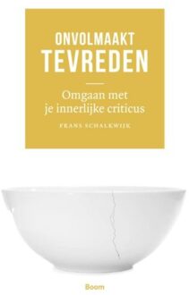 Onvolmaakt tevreden - Boek Frans Schalkwijk (9058755622)