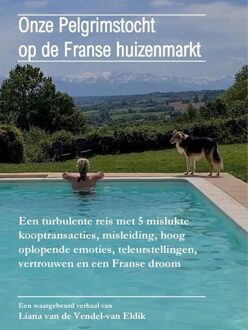 Onze Pelgrimstocht op de Franse huizenmarkt - Liana Van de Vendel-van Eldik - ebook