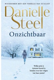 Onzichtbaar - Danielle Steel