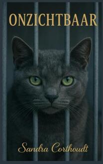 Onzichtbaar -  Sandra Corthoudt (ISBN: 9789465319797)