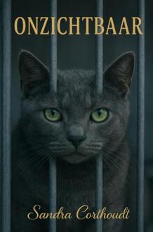Onzichtbaar -  Sandra Corthoudt (ISBN: 9789465383804)