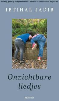 Onzichtbare liedjes