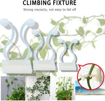 Onzichtbare Rieten Muur Klem Onzichtbare Wijnstok Muur Klimmen Kleverige Haak Vaste Rotan Clip Houder Plant Stent Ondersteunt Tuin wit M
