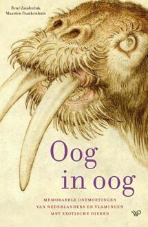 Oog in oog -  Maarten Frankenhuis, René Zanderink (ISBN: 9789464563535)