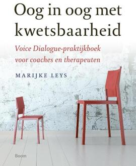 Oog in oog met kwetsbaarheid - Boek Marijke Leys (902442125X)