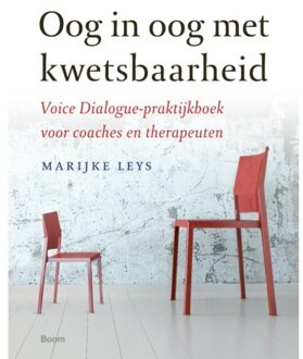 Oog in oog met kwetsbaarheid - Boek Marijke Leys (902442125X)