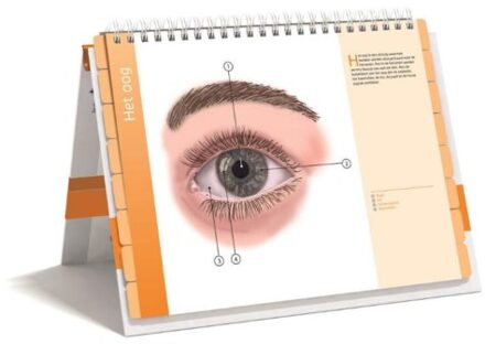 Oogheelkunde - Boek Carel Hoyng (9491984144)