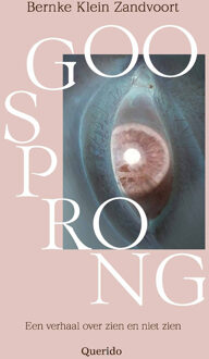 Oogsprong -  Bernke Klein Zandvoort (ISBN: 9789025320935)