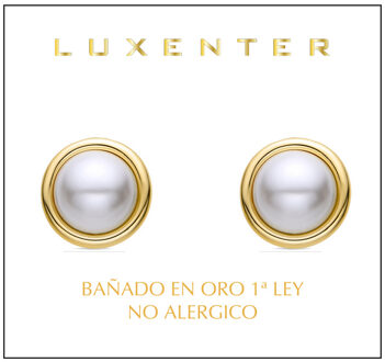 oorbellen afgewerkt in 18K geel goud - Adriel Wit - One Size