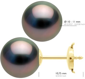 Oorbellen - Geel Goud 375 - Echte Gecultiveerde Tahiti Parel Rond 10-11 mm - One Size