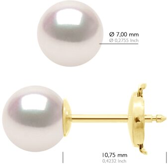 Oorbellen - Geel Goud 750 (18 Karaat) - Echte GeCultiveerde Parel Akoya Japanse Gecertificeerd Rond 7-8 mm Wit - One Size