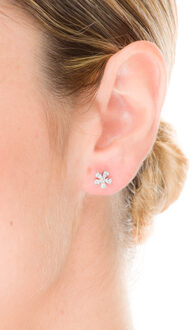 oorbellen, gemaakt van 925 sterling zilver en glanzende zirkonia met gerhodineerde afwerking