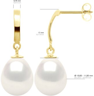 Oorbellen in Geel Goud 375 en Echte Gecultiveerde Zoetwater Parel Parels 10-11 mm