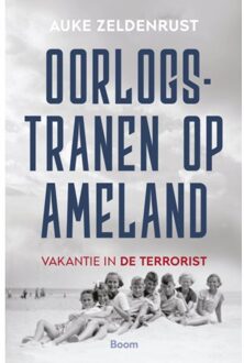 Oorlogstranen Op Ameland - Auke Zeldenrust