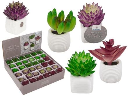 OOTB Magneet vetplant in pot 3x5cm verschillende