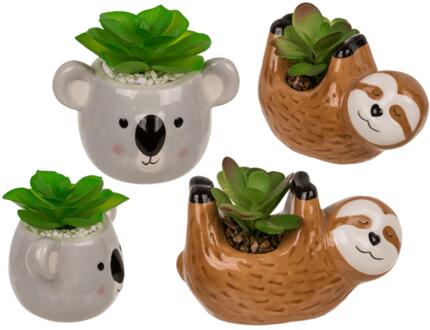OOTB Vetplant in pot, luiaard of koala verschillende