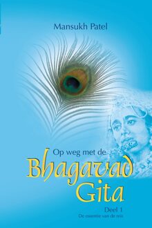Op weg met de Bhagavad Gita / 1 De essentie van de reis - eBook Mansukh Patel (9082685205)