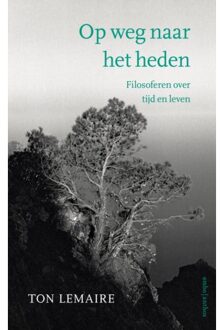 Op Weg Naar Het Heden - Ton Lemaire