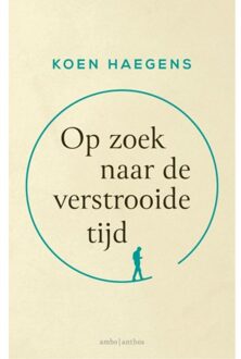 Op Zoek Naar De Verstrooide Tijd - Koen Haegens