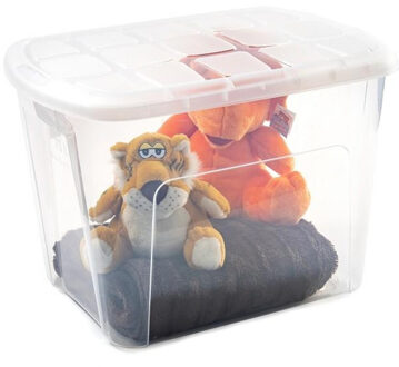 Opbergkist met deksel - Box - 75L - 60x42x43 cm