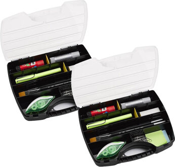 Opbergkoffertje/opbergdoos/sorteerbox - 2x - 13-vaks - kunststof - zwart - 25 x 21 x 4 cm