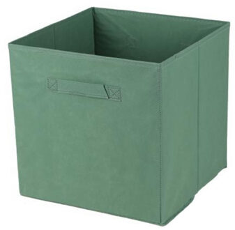 Opbergmand/kastmand Square Box - karton/kunststof - 29 liter - groen - 31 x 31 x 31 cm - Opbergmanden
