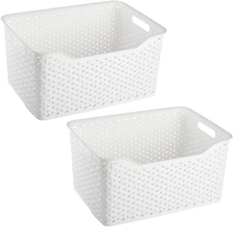 Opbergmand/kastmandje - 2x stuks - 18 liter - ivoor wit - kunststof - 29 x 39 x 19 cm