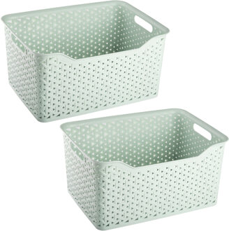 Opbergmand/kastmandje - 2x stuks - 18 liter - mintgroen - kunststof - 29 x 39 x 19 cm
