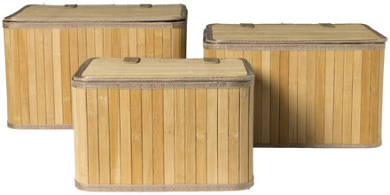 Opbergmand Oscar met deksel - set van 3