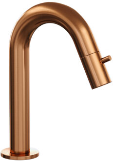 Opbouw Fonteinkraan Brauer Copper Edition Met Gebogen Uitloop Koper Geborsteld PVD