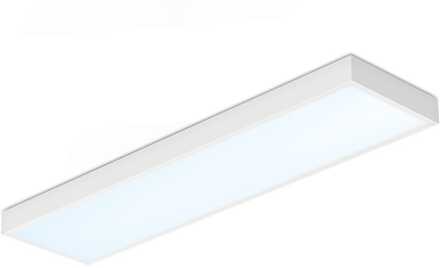 Opbouw LED Paneel - 30x120 cm - 36 Watt - 4860lm (135lm/W) - 6500K daglicht wit - Dali Dimbaar - Flikkervrij - UGR22 - 5 jaar garantie