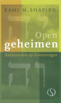 Open geheimen - Boek Rami M. Shapiro (9491411624)