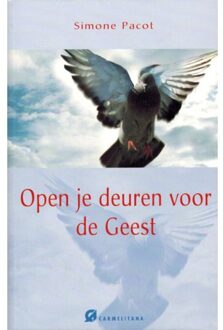 Open je deuren voor de geest - Boek Simone Pacot (907667177X)