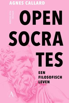 Open Socrates - Agnes Callard - ebook