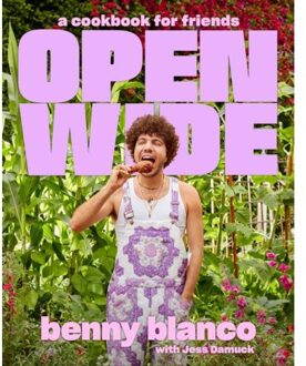 Open Wide - benny blanco