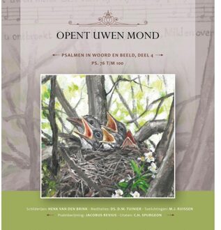 Opent uwen mond -  CH Spurgeon, DW Tuinier (ISBN: 9789461152602)
