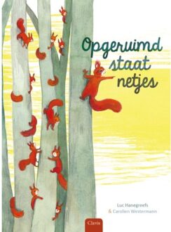 Opgeruimd staat netjes