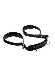 Opgevulde Dijsteun - Opgevulde Dijsteun