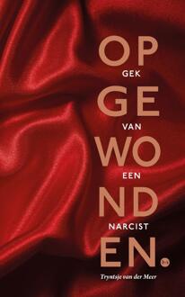Opgewonden -  Tryntsje van der Meer (ISBN: 9789465098418)