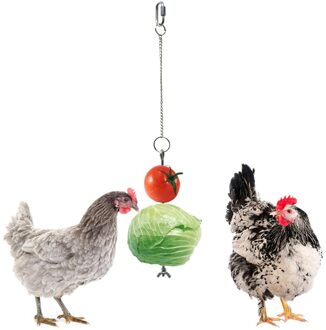 Opknoping Feeder Speelgoed Rvs Lock Catch Voedsel Groente Fruit Voor Kippen Vogels Papegaaien Kaketoe