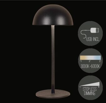 Oplaadbare tafellamp USB zwart 9,5x22cm