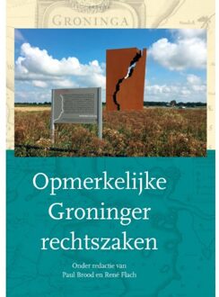 Opmerkelijke Groninger rechtszaken