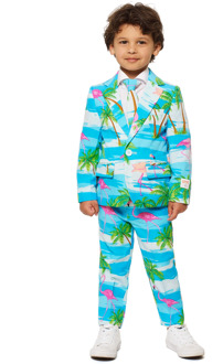 Opposuits Flaminguy - Jongens Kostuum - Gekleurd - Carnaval - Maat 110/116