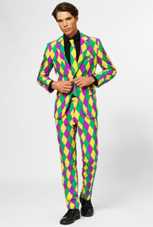 Opposuits Harleking - Mannen Kostuum - Gekleurd - Carnaval - Maat 50