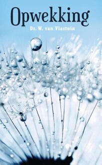 Opwekking - eBook W. van Vlastuin (9462789215)