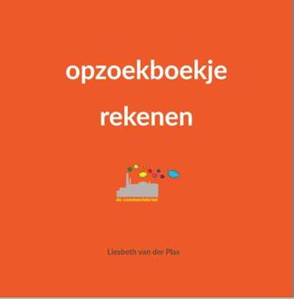 Opzoekboekje rekenen -  Liesbeth van der Plas (ISBN: 9789493065956)