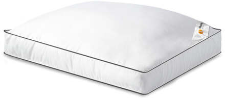 Orange Line Boxkussen - Flexofill Microdons - Voor - Microvezel - Anti-allergisch & Licht En Onderhoudsvriendelijk - Dekbed-Discounter.nl - 50 x 60 cm