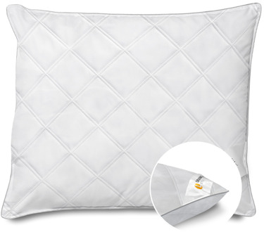 Orange Line Hoofdkussen Latex - Hotel - Voor Zij - En Rugslapers - Latex - Veerkrachtig & Ventilerend En Antibacterieel - Dekbed-Discounter.nl - 60x70