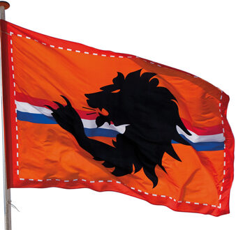 Oranje 2x Mega oranje Holland stadion vlag met leeuw 300x200 cm - Oranje feest/ Ek/ Wk versiering/ straatversiering artikelen